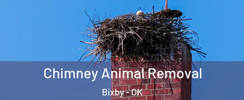Chimney Animal Removal Bixby - OK