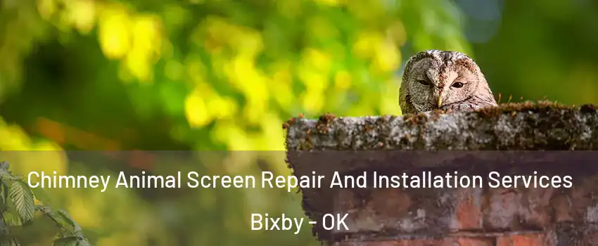  Chimney Animal Screen Repair And Installation Services Bixby - OK
