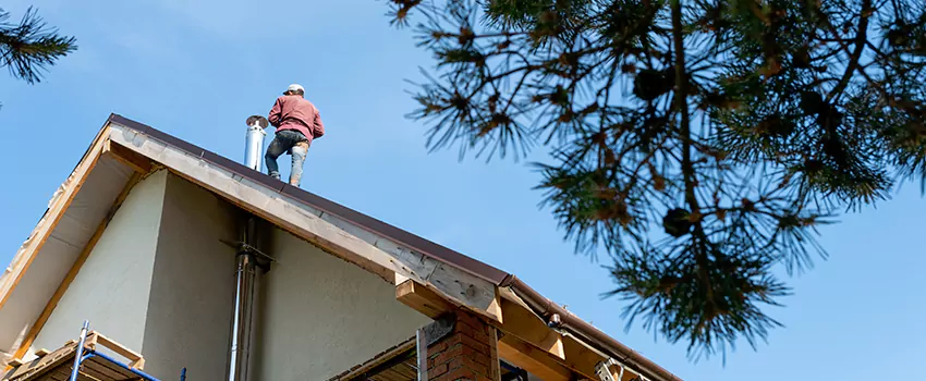 Birds Removal Contractors from Chimney in Bixby, OK