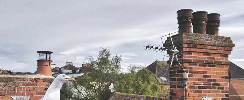 Chimney Cleaning And Restoration in Bixby, Oklahoma