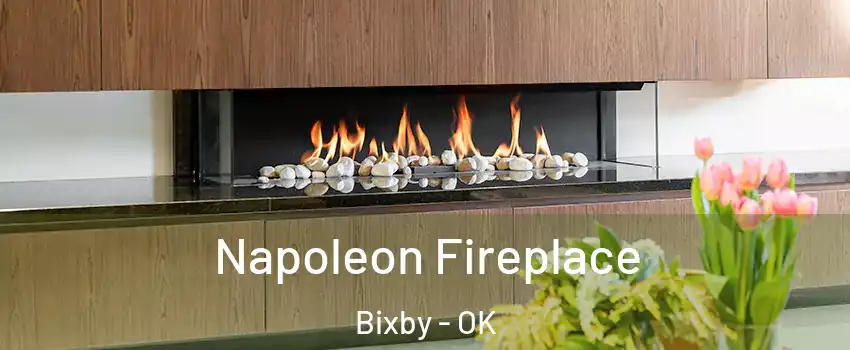  Napoleon Fireplace Bixby - OK